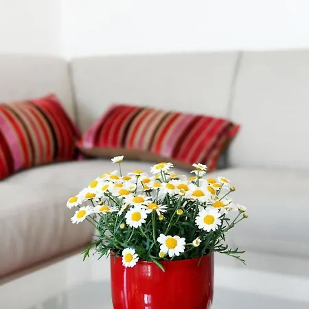 Apartmán Divia